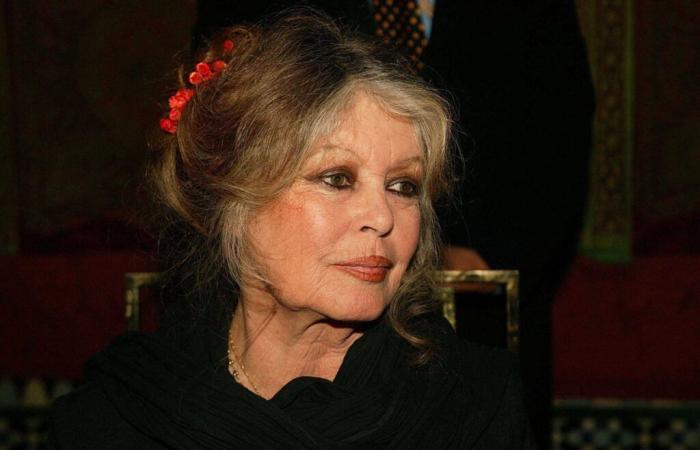 Avant ses 90 ans, Brigitte Bardot se confie sur sa vie « pas drôle »