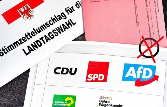 Projection pour les élections régionales dans le Brandebourg : le SPD juste devant l’AfD