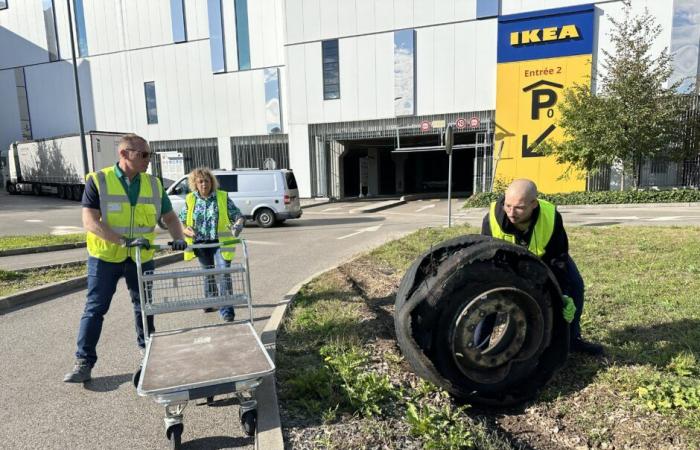 Ils collectent près de 600 kg de déchets en une journée