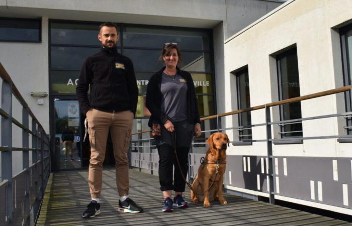 Roncq. Une demi-journée pour en savoir plus sur les chiens guides d’aveugles à la Promenade de Flandre