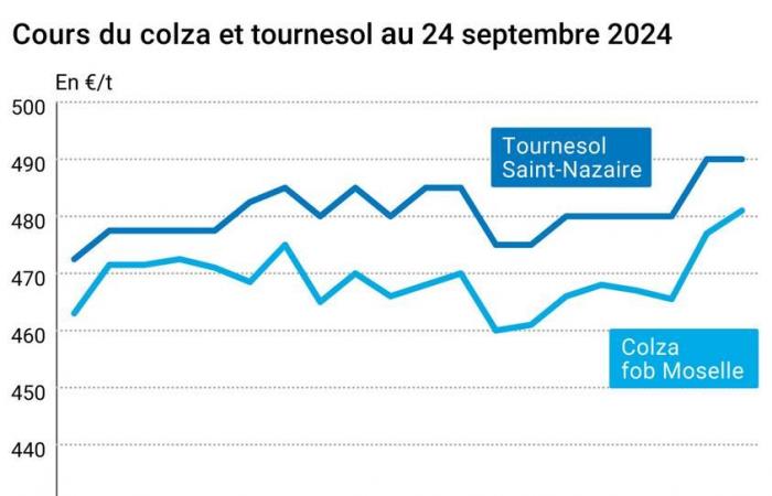 Oléagineux – Les prix du colza et du soja continuent de grimper