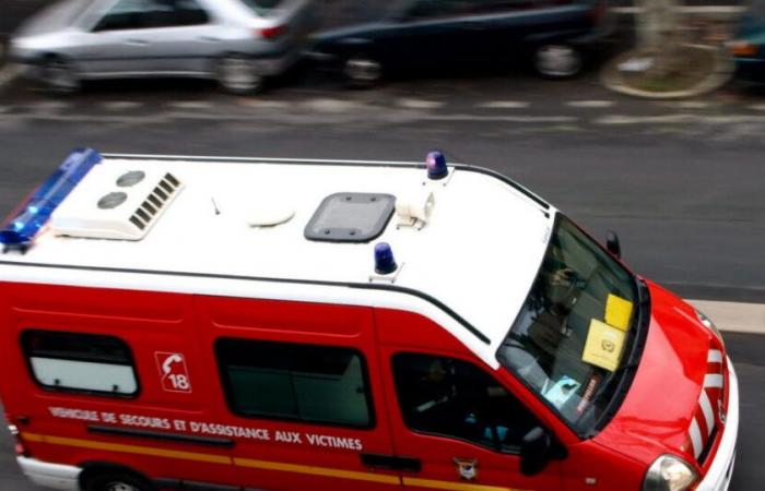 Ardèche. Un homme de 23 ans décède dans un accident d’exploitation forestière