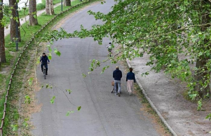 A Paris, les parents s’inquiètent après le meurtre de Philippine