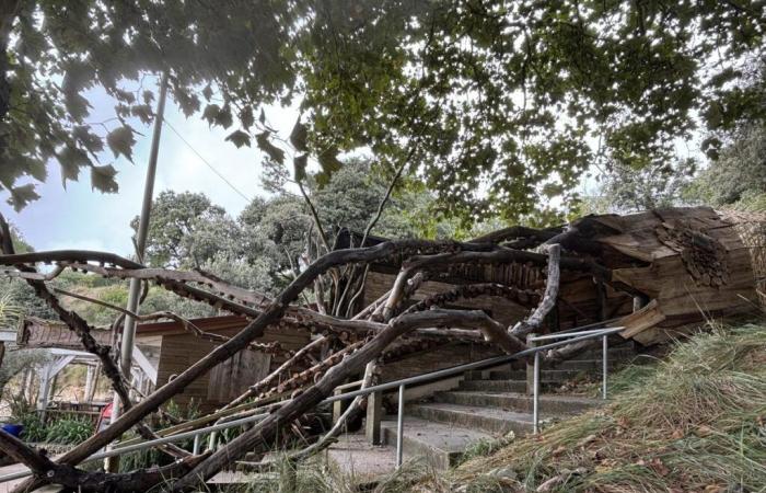 Calmars géants en bois, girafes sculptées… Que nous réserve le Sentiers des arts cette année en Charente-Maritime ?