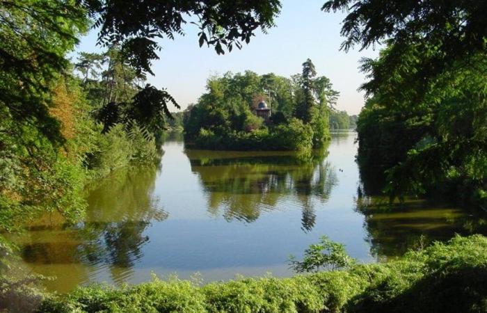 « Cela aurait pu être n’importe lequel d’entre nous »… Au Bois de Boulogne, étudiants et passants sont choqués