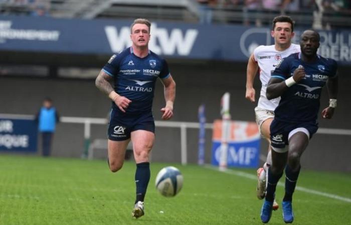 Stuart Hogg incertain pour le déplacement de Montpellier à Bayonne, Paul Willemse de retour