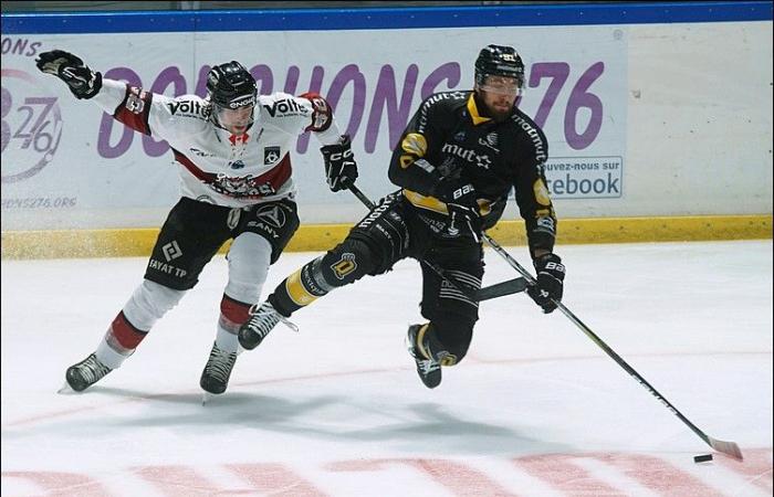 Rouen – Bordeaux (Ligue Magnus, 4e journée)