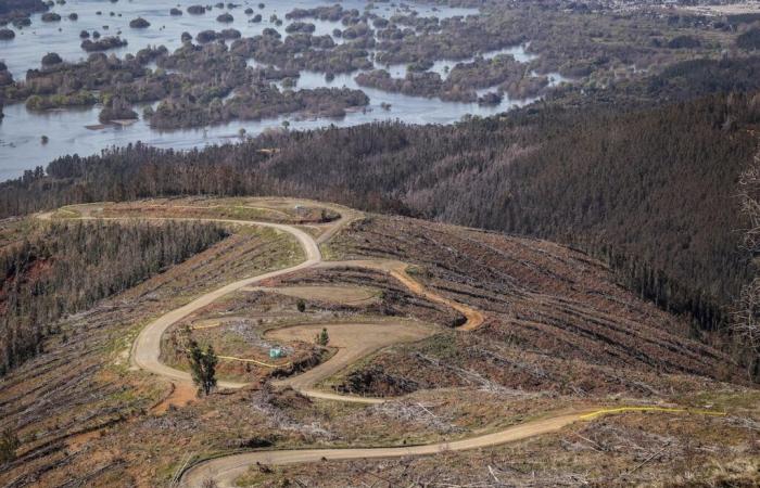 Lappi le plus rapide devant les jeunes