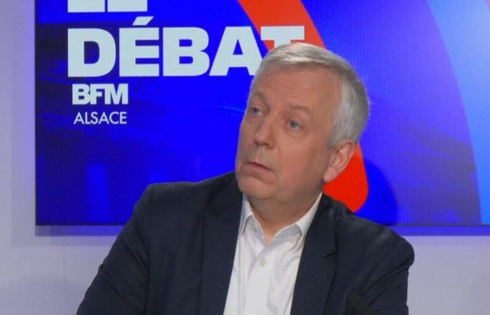 Le député RN Théo Bernhardt annonce que Laurent Gnaedig a été exclu du parti après ses propos polémiques