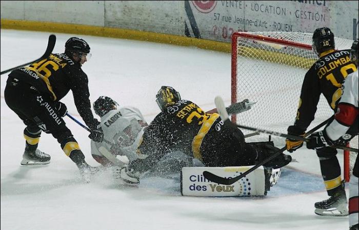 Rouen – Bordeaux (Ligue Magnus, 4e journée)