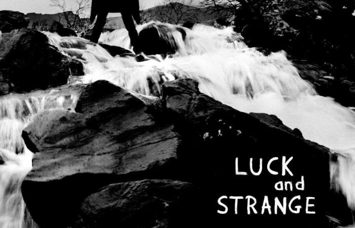 nouvel album « LUCK AND STRANGE » sorti pour la première fois en novembre Paesi – MEGAMODO