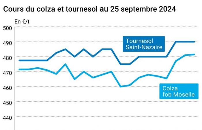 Oléagineux – Nouvelle séance de hausse des prix du colza et du soja sur les marchés mondiaux