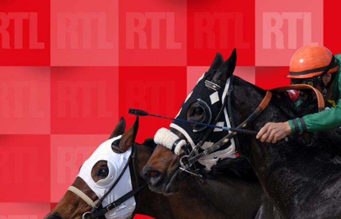 Quinté du samedi 28 septembre 2024 à Auteuil : les pronostics