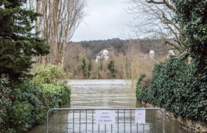 deux sénateurs tirent des leçons