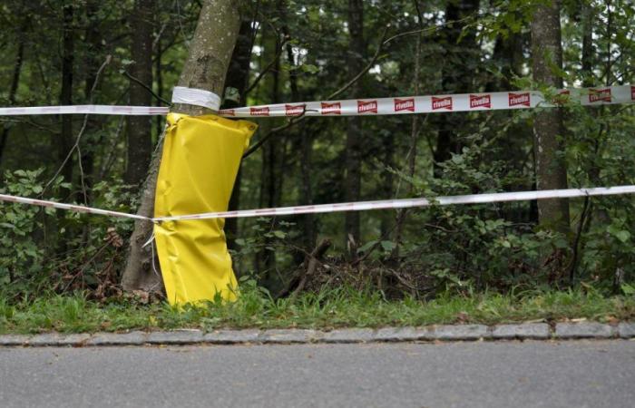 le choc après la mort d’un jeune cycliste suisse