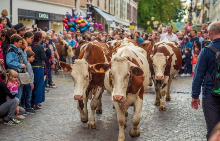 Grands événements et manifestations à Annecy & Haute-Savoie