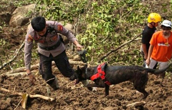 glissement de terrain dramatique dans une mine d’or