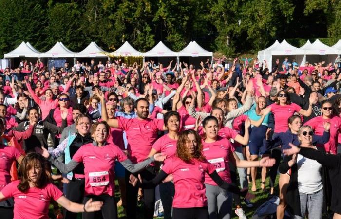 Toulouse. Octobre rose : Toulouse lutte contre le cancer