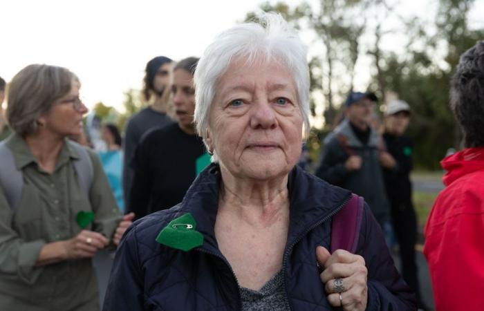 Manifestation climatique | Le « ras-le-bol » du climat dans les rues de Montréal