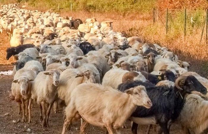 38 photos qui prouvent que la Corse est l’île la plus laide du monde