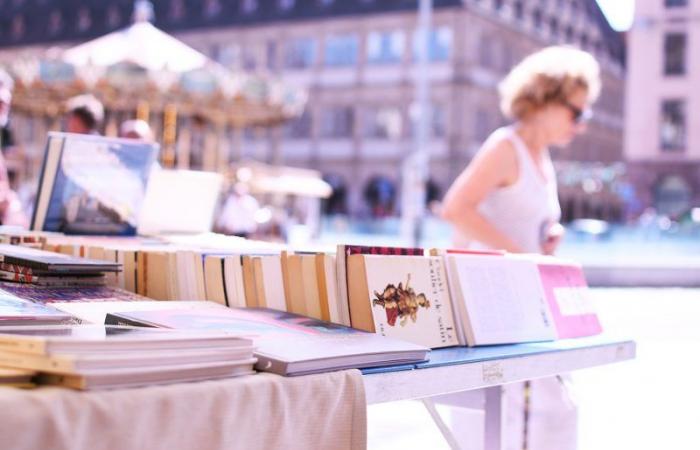 rencontre avec 3 libraires passionnés, basés à Strasbourg