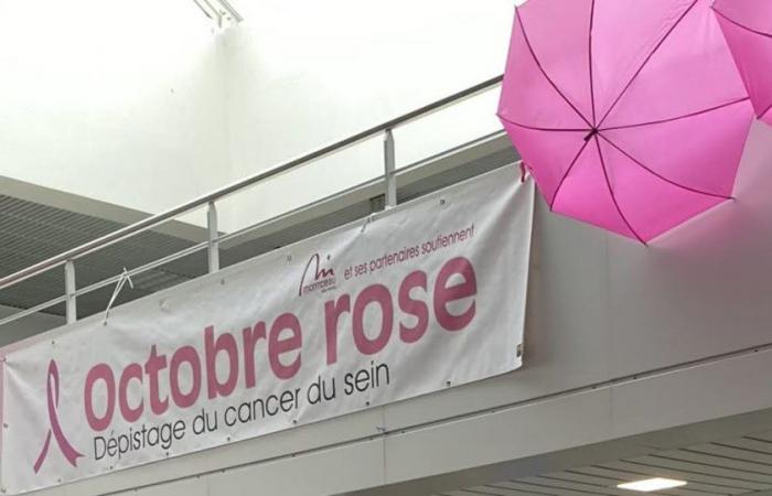 Santé / solidarité. Vous prévoyez de participer à un événement organisé dans le cadre de Pink Octobre?