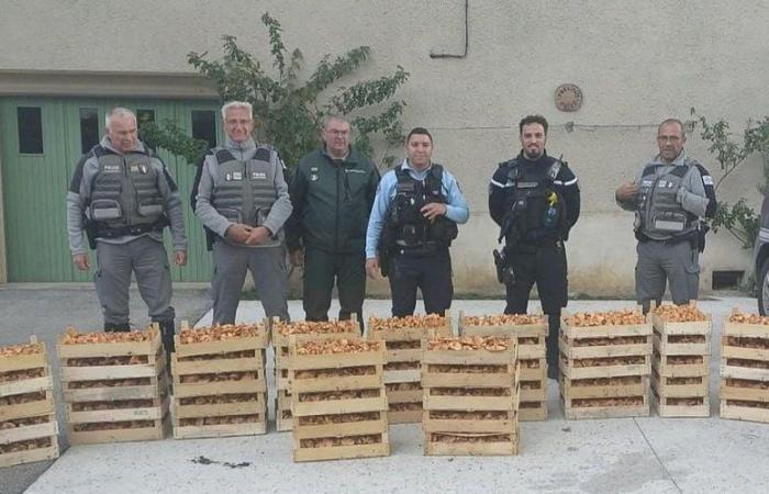 la police saisit 75 cartons collectés illégalement dans un parc