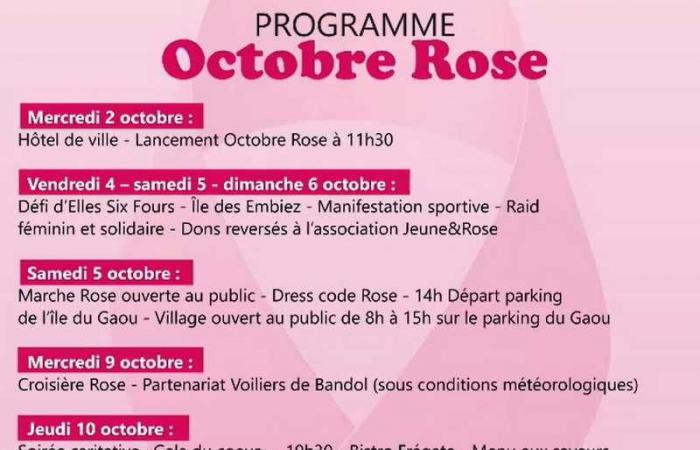 Octobre Rose à Six-Fours, un mois de sensibilisation contre le cancer du sein