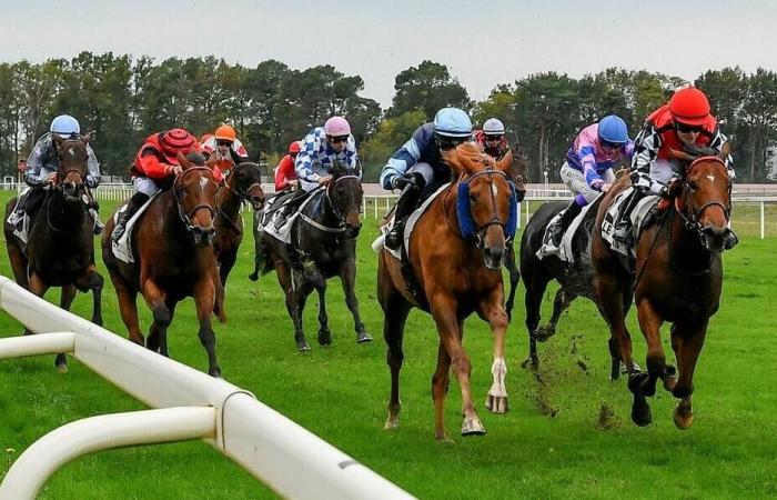 Sept courses de plat ce samedi à l’hippodrome du Mans