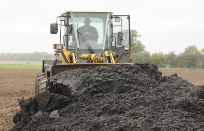 Les polluants éternels ont-ils rendu ses enfants malades ?