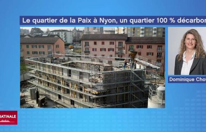 Maxi-centrales solaires, “Médor” au bureau et la transformation verte d’un quartier de Nyon