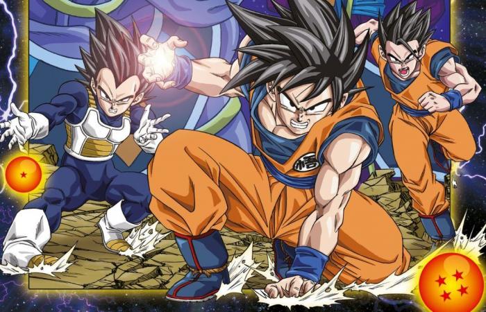 « Dragon Ball » revient à la télévision pour les 40 ans du manga !