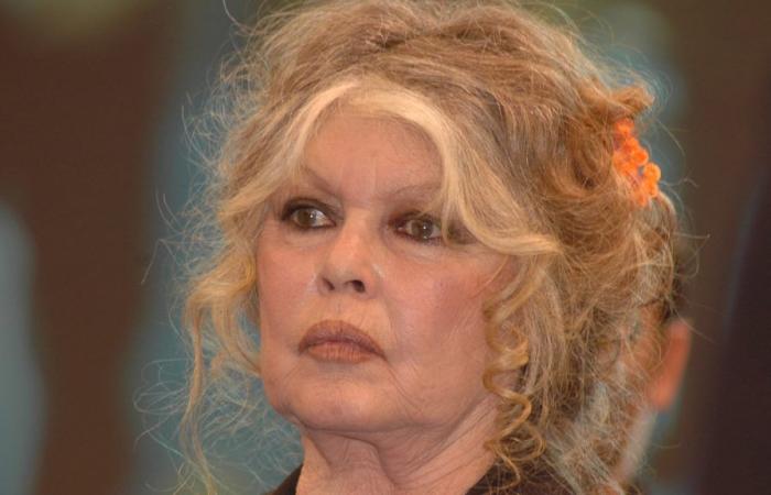 Brigitte Bardot fête ses 90 ans, un anniversaire qu’elle « redoute »