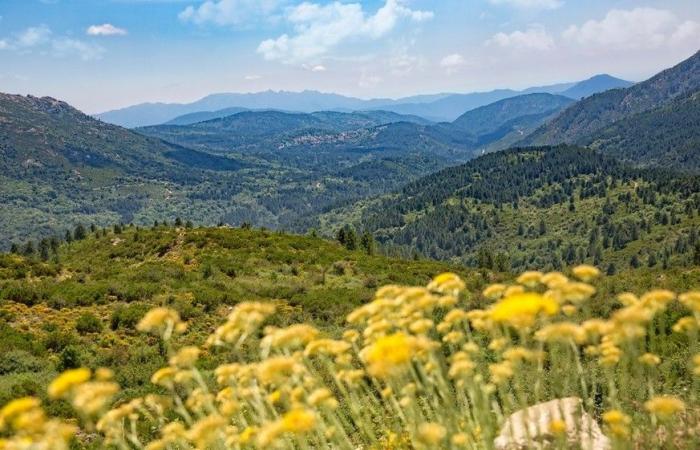 38 photos qui prouvent que la Corse est l’île la plus laide du monde