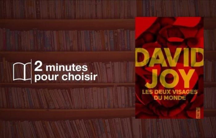 On lit le thriller « Les Deux Faces du Monde » de David Joy