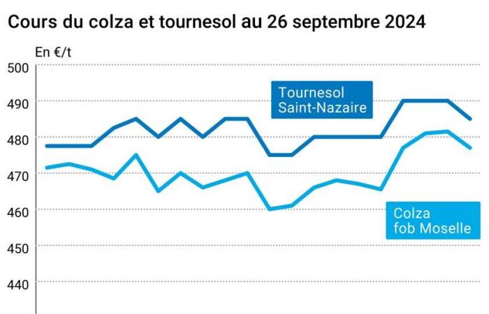 Oléagineux – Forte baisse des prix du soja et du colza à cause du pétrole