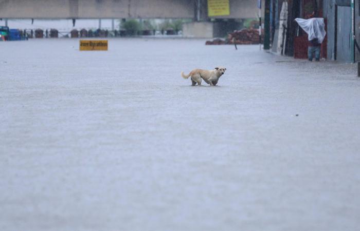 Au moins 59 morts et 44 disparus dans les inondations au Népal