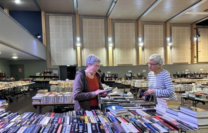 Le Salon du livre de Chaumont c’est ce week-end avec encore plus de livres