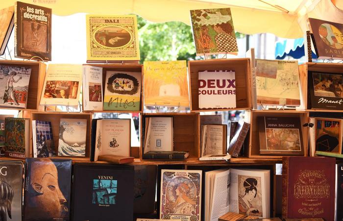 rencontre avec 3 libraires passionnés, basés à Strasbourg