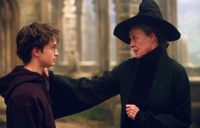 Daniel Radcliffe rend hommage à Maggie Smith, “une légende” du cinéma