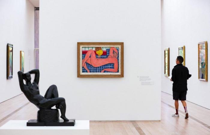 « Matisse est l’une de nos expositions les plus chères »