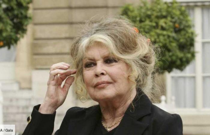 Brigitte Bardot a 90 ans, ses secrets : “Je redoute le 28 septembre…”