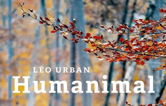 Parution du livre Humanimal, de Léopold Hurbin alias Léo Urban.