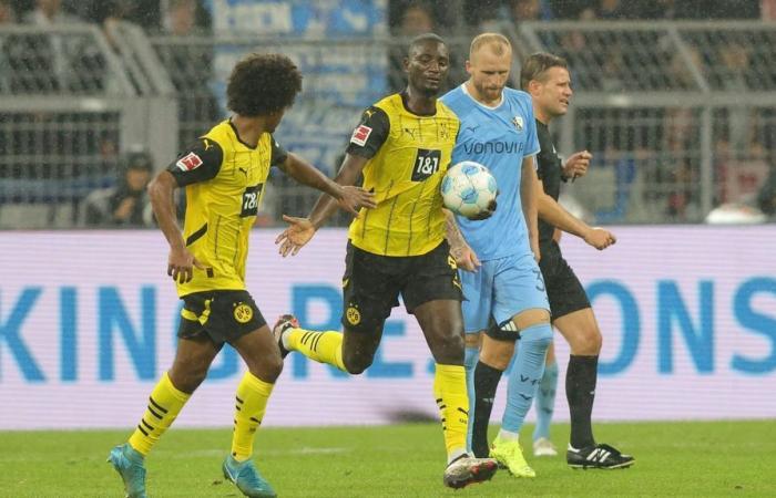 Les scores des stars du BVB