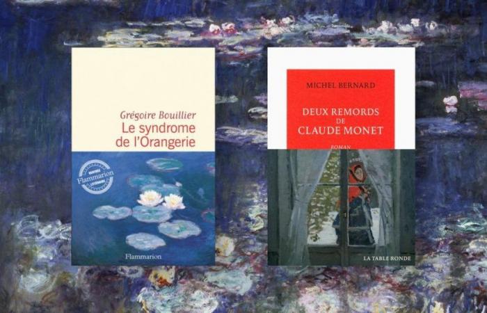 “Grégoire Bouillier a fait plus que s’inspirer de mon livre, il l’a utilisé”