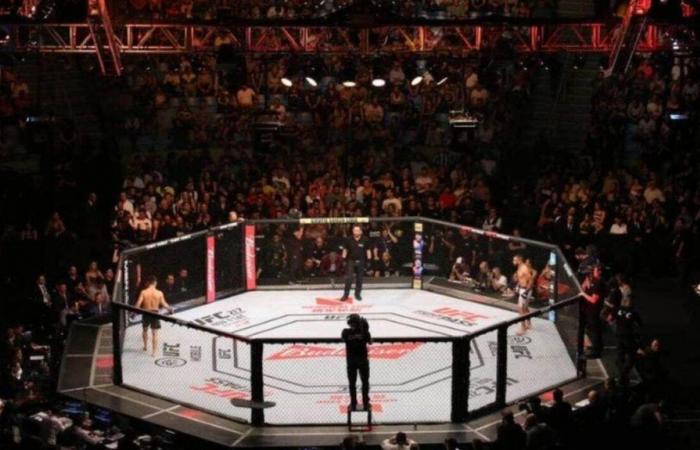 sur quelle chaîne et à quelle heure voir les combats de MMA en direct ?