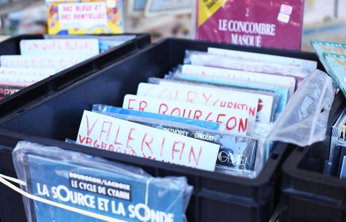 rencontre avec 3 libraires passionnés, basés à Strasbourg