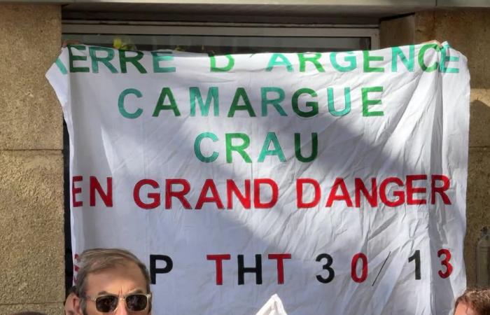 Ligne à très haute tension. Le projet présenté à Marseille, une « mascarade » pour les opposants