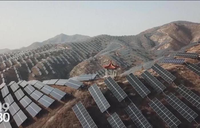 Maxi-centrales solaires, “Médor” au bureau et la transformation verte d’un quartier de Nyon