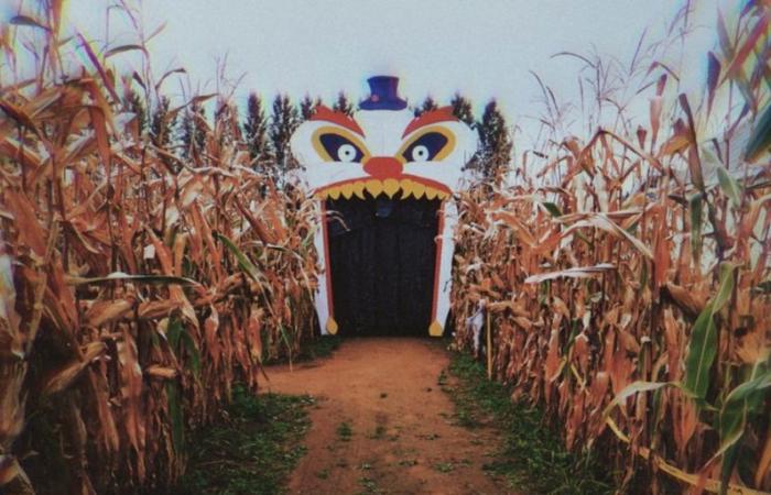 Ce labyrinthe nocturne près de Laval vous donnera des frissons sur 8 km dans le noir